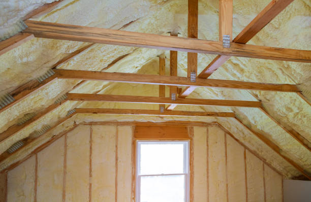 Best Insulation Installation Services in Royal Hawaiian Estates, HI