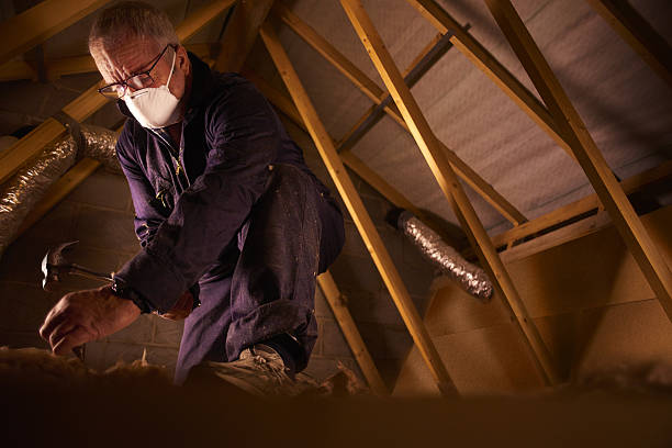 Best Commercial Insulation in Royal Hawaiian Estates, HI