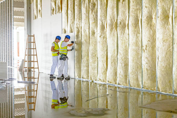 Best Insulation Maintenance and Repair in Royal Hawaiian Estates, HI